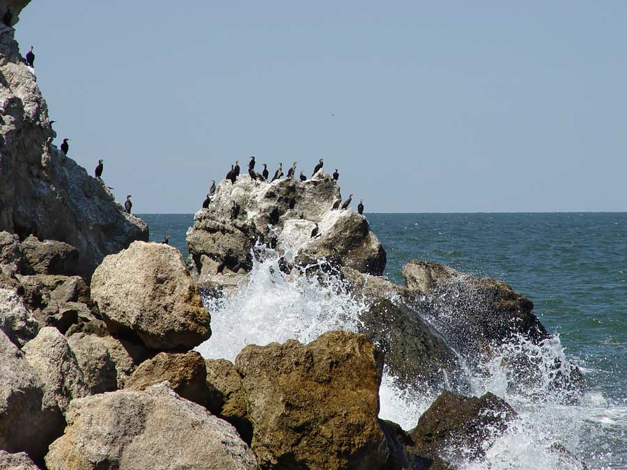 Заповедный мыс Казантип