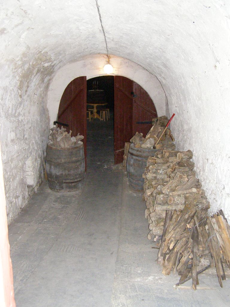 дом-музей голицына