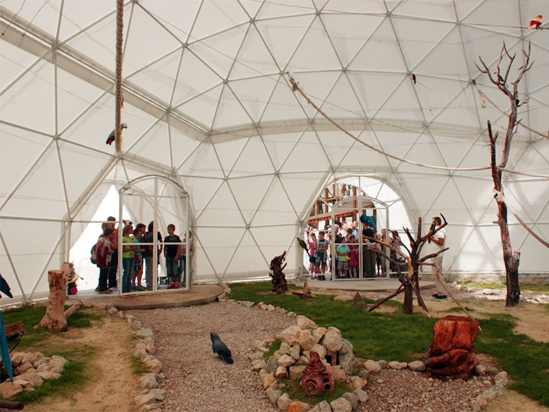 Динотерий в Коктебеле