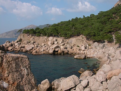 Урочище Аязьма. Инжир