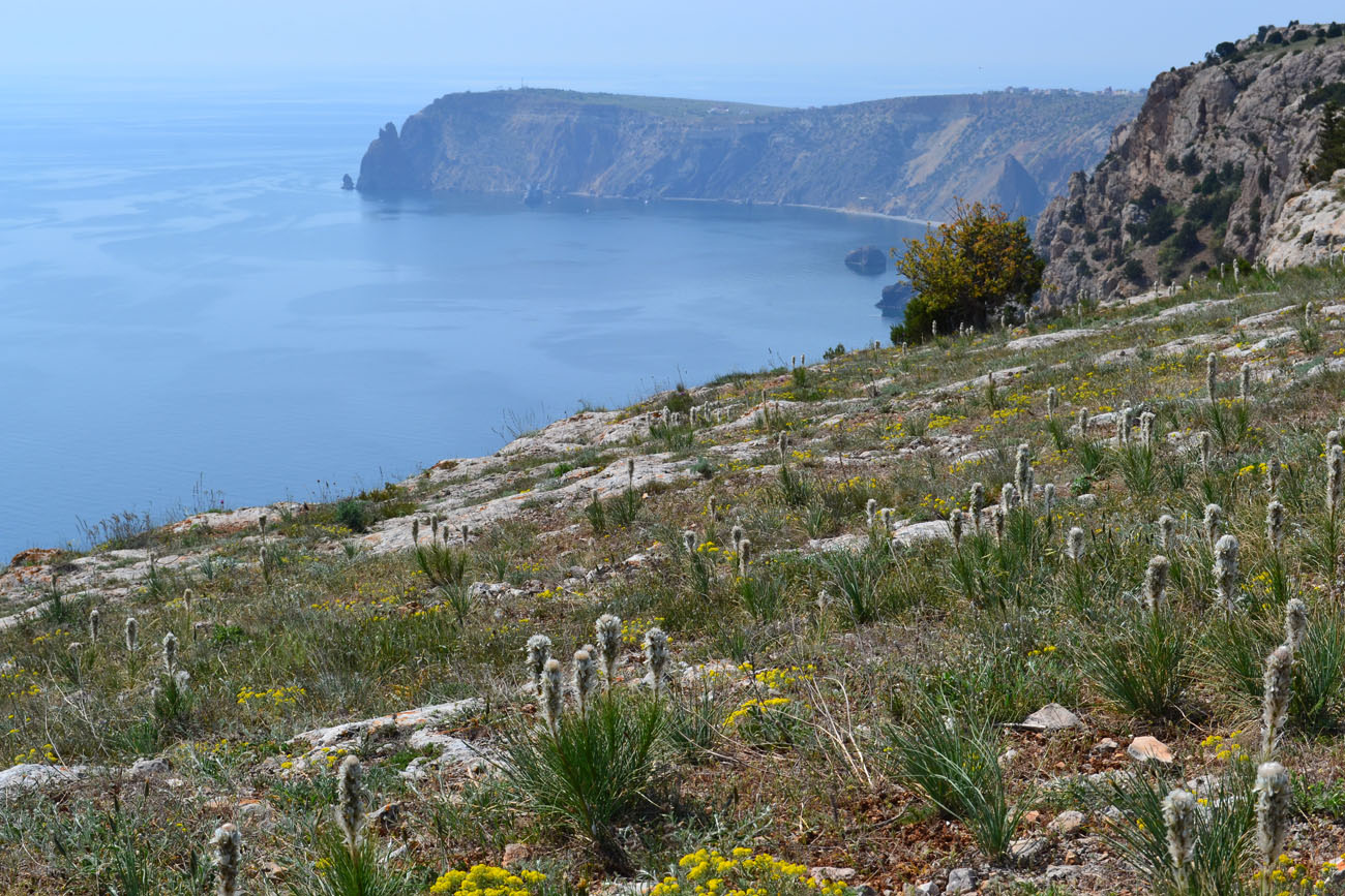 Караньское плато