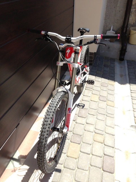 IMG_8769.jpeg