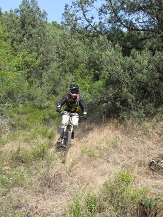 IMG_0194.jpg